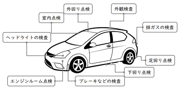 検査項目